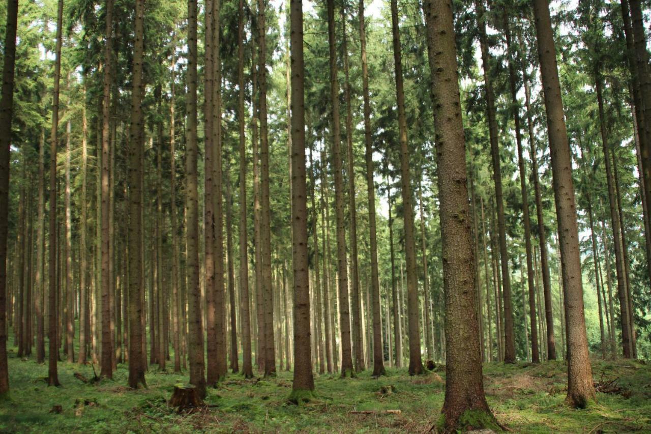 Ferienhaus "Gestiefelter Kater" Am See Im Bergland Kirchheim unter Teck Dış mekan fotoğraf